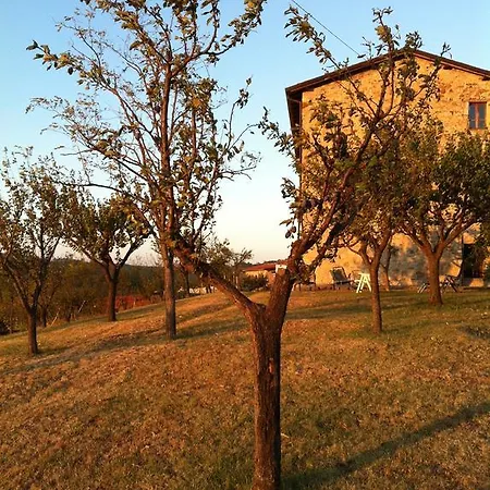 Il Tempo Ritrovato Bed & Breakfast Canossa