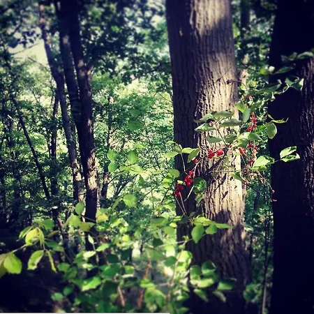 Il Tempo Ritrovato Bed & Breakfast