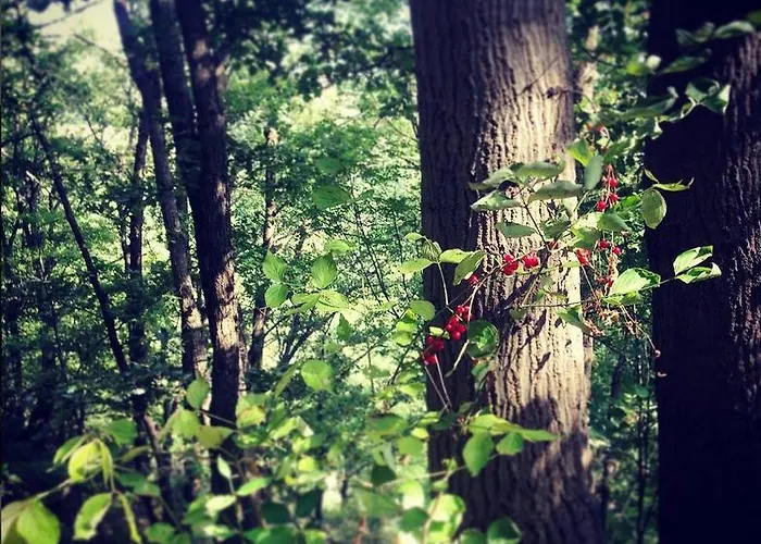 Il Tempo Ritrovato Oda ve Kahvaltı